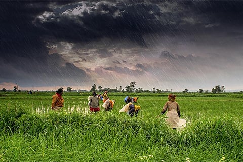 चार दशकों में भारत के 30 फीसदी जिलों में बारिश में कमी वाले सालों की संख्या सबसे अधिक रही: अध्ययन