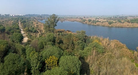 यमुना की आर्द्रभूमि। फोटो: फैयाज खुदसर