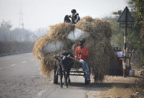 पंजाब के मालवा क्षेत्र में पराली को ले जाता किसान  (फोटो: विकास चौधरी / सीएसई)