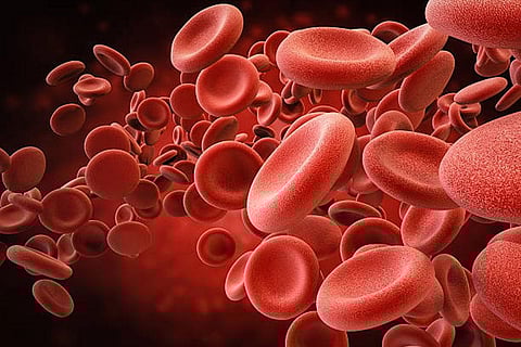 लाल रक्त कोशिकाएं, फोटो साभार: आईस्टॉक 