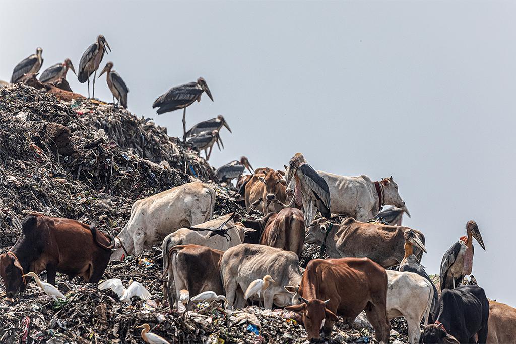 प्रतीकात्मक तस्वीर: आईस्टॉक
