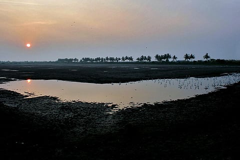 कोलेरू झील/ फोटो: जेएम गर्ग/विकिपीडिया