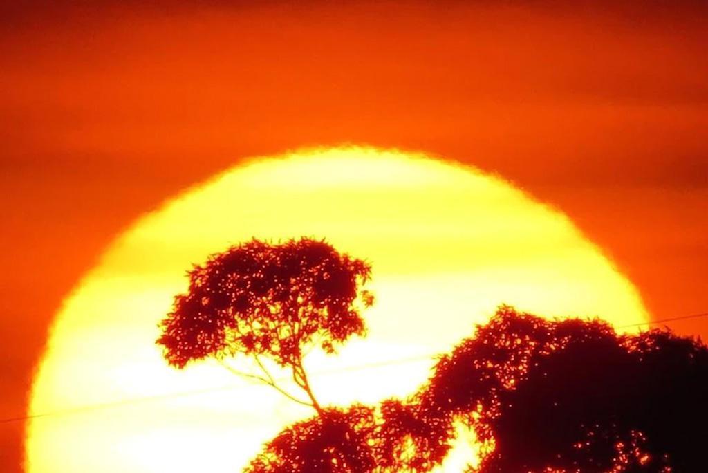 15 अप्रैल से ओडिशा में, 17 अप्रैल से पश्चिम बंगाल में गंगा के मैदानी इलाकों में, 24 अप्रैल से झारखंड और उप-हिमालयी पश्चिम बंगाल, रायलसीमा में और 26 अप्रैल से बिहार में लू का दौर जारी है।