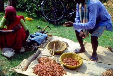 आर्थिक सर्वेक्षण : सरकार ने कहा लॉकडाउन में परिवारों ने किया दाल की स्टॉकिंग इसलिए बढ़े दाम 