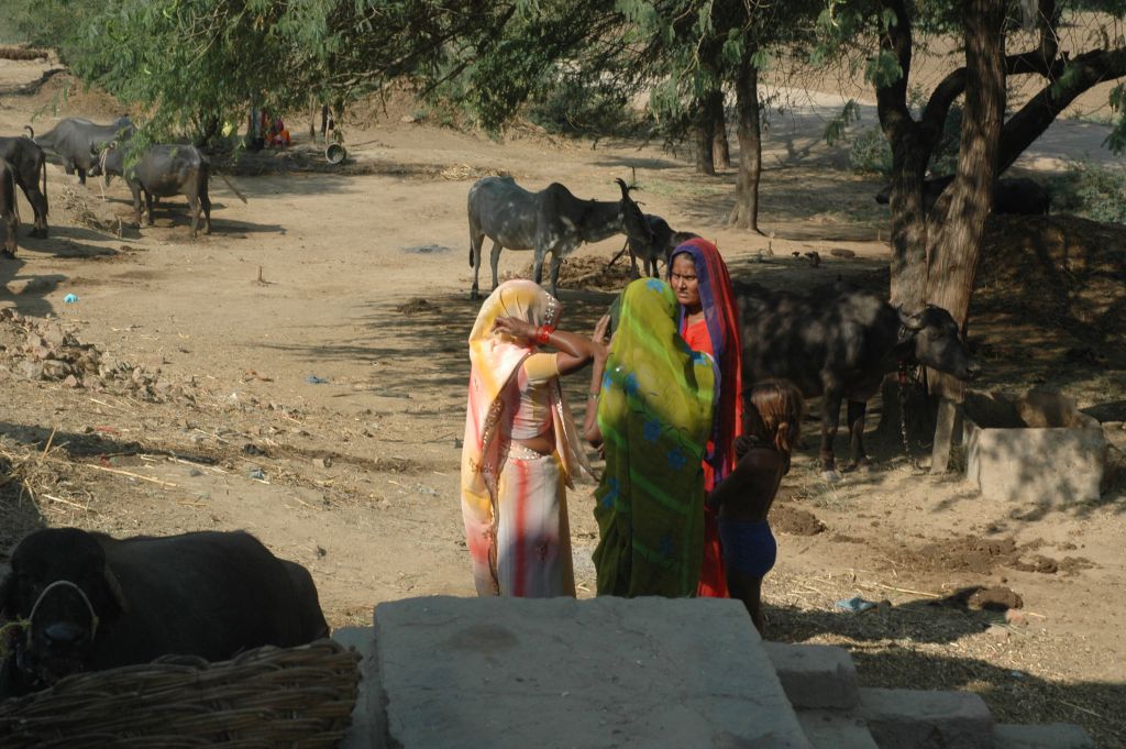 केमिकल युक्त पानी को चंबल में छोड़ रही ग्रासिम इंडस्ट्री, एनजीटी ने दिए जांच के दिए निर्देश
