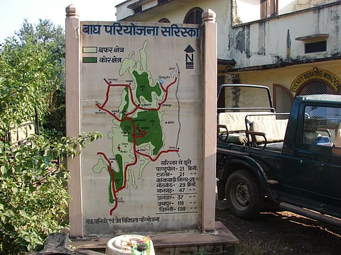 क्यों लगी सरिस्का के जंगल में आग, पांच दिन बाद भी पता नहीं