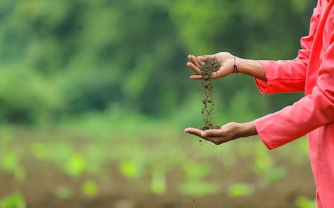 മണ്ണ് ജീവിക്കട്ടെ