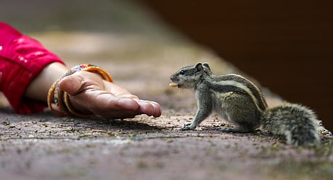 പ്രകൃതിയുമായുള്ള നമ്മുടെ അഗാധമായ ബന്ധം