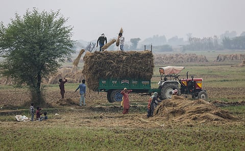 വിളകളുടെ വൈക്കോൽ കൈകാര്യം ചെയ്യുന്നതിനുള്ള വൃത്തിയുള്ള മാർഗം