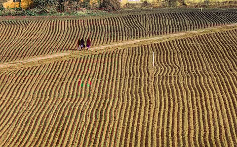 ശൈത്യകാലം വന്നു