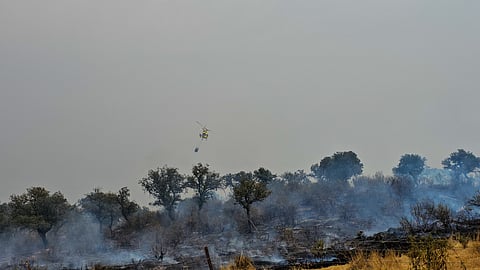 2025 ൽ യൂറോപ്പിൽ ഏറ്റവും ഉയർന്ന കാട്ടുതീ പുറന്തള്ളൽ രേഖപ്പെടുത്തി.