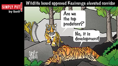 വികസന വേട്ടക്കാരൻ