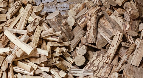 ചന്ദനകൃഷിക്ക് ഊർജം പകരുന്ന കേന്ദ്ര ബജറ്റ് 2026