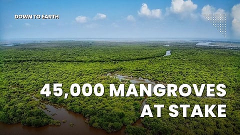 18,000 കോടിയുടെ തീരദേശ റോഡ്: മുംബൈയിൽ 45,000 കണ്ടൽമരങ്ങൾ നഷ്ടപ്പെടും 