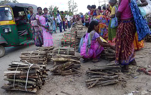 ഊർജ്ജ പ്രതിസന്ധിയും വിറകിന്റെ തിരിച്ചുവരവും