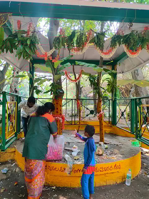 ബെംഗളൂരുവിലെ തിഗള സമൂഹം ദ്രൗപദിയെ ആരാധിക്കുകയും കരാഗ ഉത്സവത്തിലൂടെ പ്രകൃതിയെ സംരക്ഷിക്കുകയും ചെയ്യുന്നത് എന്തുകൊണ്ടാണ്?