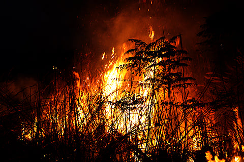 നീളുന്ന തീക്കാലം, അനിയന്ത്രിതമായ തീവ്രത: വടക്കേ അമേരിക്കയിലെ കാട്ടുതീയുടെ സ്വഭാവം മാറുന്നു 