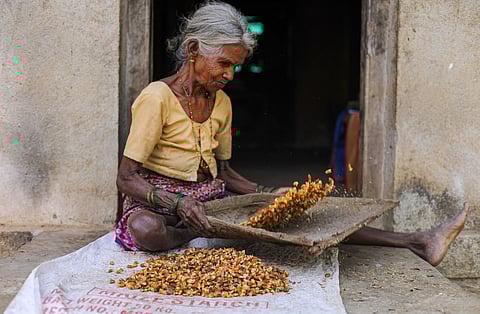 ഭൂമിയുടെ കാവൽക്കാർക്ക് എന്നും ഭൗമദിനമാണ് (Earth Day)