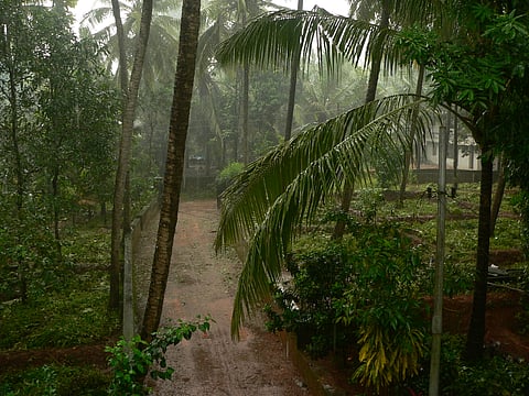 കാലവർഷമെത്തി; എങ്കിലും ആശങ്കയായി "എൽ നിനോ" പ്രതിഭാസം  