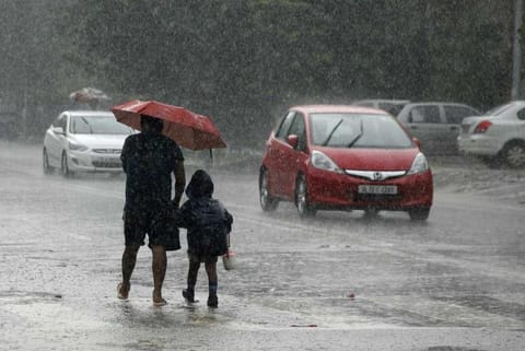 फोटो साभार : सीएसई