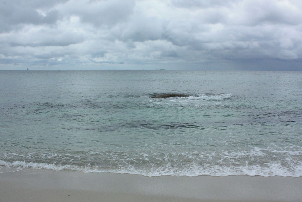 दक्षिणी महासागर दुनिया भर में फाइटोप्लांकटन के उत्पादकता में सबसे बड़ी भूमिका निभाता है