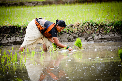 प्रतीकात्मक तस्वीर: आई स्टॉक