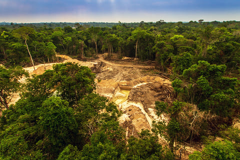 खनन ने बदली जंगल की तस्वीर; फोटो: आईस्टॉक