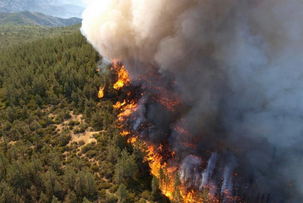 शोध के मुताबिक, पिछले पांच दशकों के आंकड़ों का विश्लेषण करते हुए, शोध टीम ने अनुमान लगाया है कि 2023 में लगी आग से 69 से 183 टन आर्सेनिक निकल सकती है।