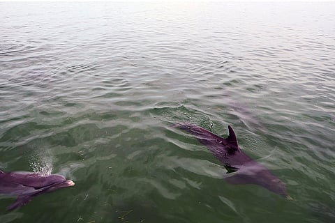 प्रतीकात्मक तस्वीर: आईस्टॉक