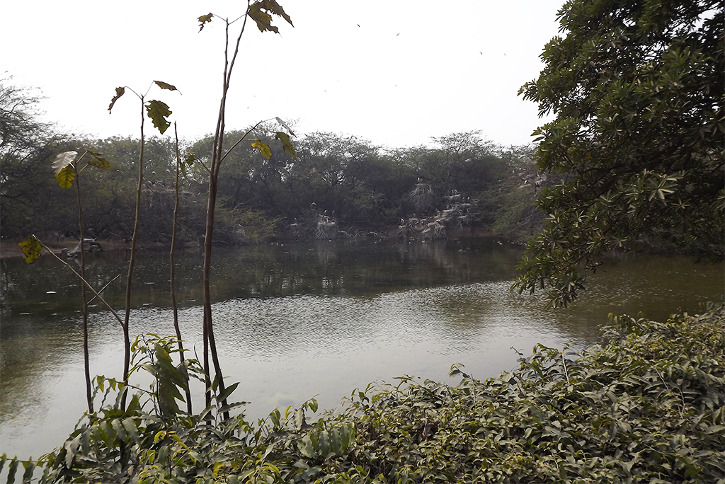 प्रतीकात्मक तस्वीर: आईस्टॉक