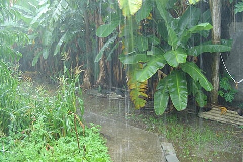 आज, तमिलनाडु, पुडुचेरी के अलग-अलग हिस्सों में भारी से बहुत भारी बारिश होने के आसार हैं, इन हिस्सों में 120 मिमी या उससे अधिक बारिश हो सकती है। 