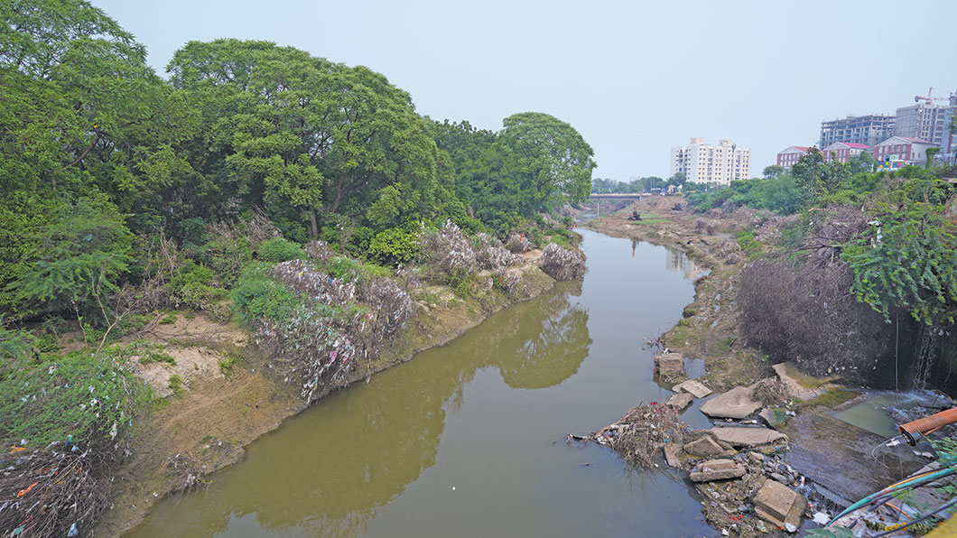 गुजरात में वडोदरा की जीवदायिनी विश्वामित्री नदी सीवेज और औद्योगिक के साथ-साथ ठोस कचरे के प्रदूषण से अपने अस्तित्व की लड़ाई लड़ रही है