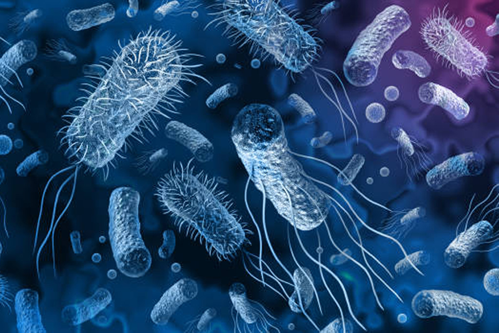 विश्व स्वास्थ्य संगठन (डब्ल्यूएचओ) के मुताबिक, दुनिया भर में बैक्टीरियल एएमआर 2019 में दुनिया भर में 12.7 लाख मौतों के लिए सीधे तौर पर जिम्मेदार था।