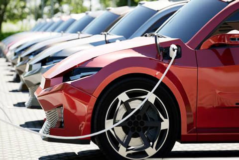 फाइल फोटो: सीएसई