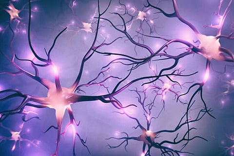 डब्ल्यूएचओ के आंकड़ों के अनुसार, पिछले 25 सालों में पार्किंसंस की बीमारी (पीडी) का प्रचलन दोगुना हो गया है। 