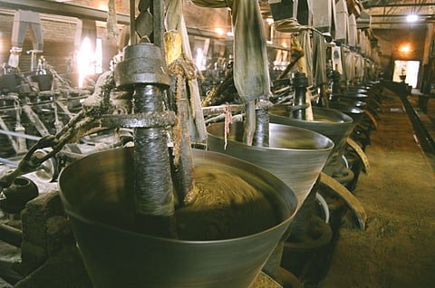 सरसों तेल मिल। फाइल फोटो: सीएसई