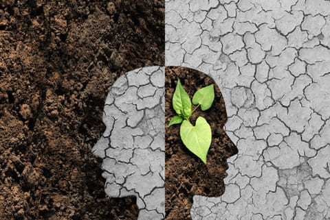 जलवायु परिवर्तन तीन प्रमुख रास्तों से किशोरों के मानसिक स्वास्थ्य को प्रभावित कर रहा है: पहला - घरेलू संसाधनों का नुकसान, दूसरा - भविष्य के बारे में अनिश्चितता और तीसरा - पारंपरिक तरीके से मुकाबला तंत्र का टूटना।