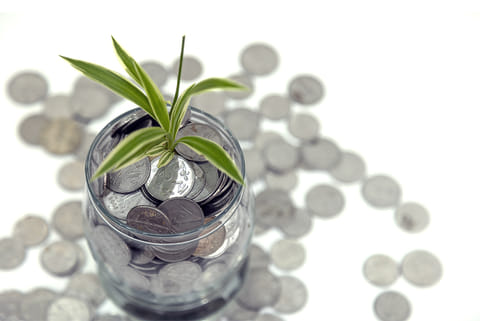 प्रतीकात्मक तस्वीर: आईस्टॉक