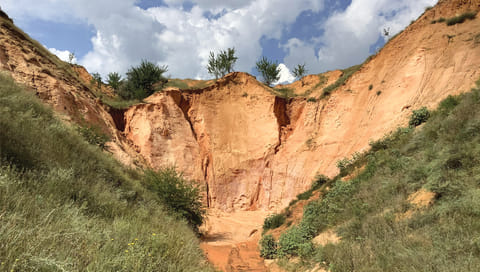 दुनिया के कुल क्षेत्रफल का लगभग 20 से 40 फीसदी हिस्सा भूमि के क्षरण से प्रभावित है, इस प्रकार की भूमि में खेतिहर भूमि, शुष्क भूमि, आर्द्र भूमि, जंगल और घास के मैदान आदि प्रभावित हो रहे हैं