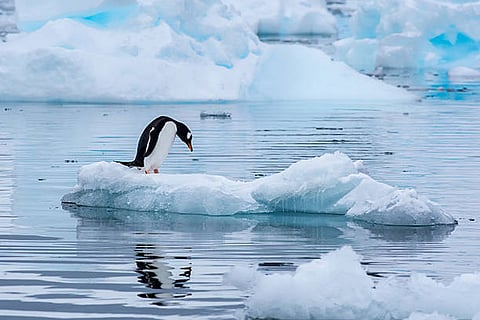 बर्फ की चादरें वर्तमान में हर साल लगभग 370 अरब मीट्रिक टन बर्फ का नुकसान झेल रही हैं, आज का तापमान स्तर पूर्व-औद्योगिक तापमान से लगभग 1.2 डिग्री सेल्सियस अधिक है।