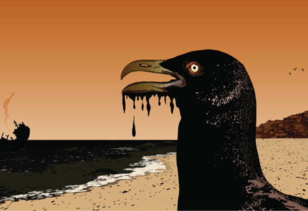 शोध में कहा गया है कि जलवायु परिवर्तन हजारों सालों में विकसित हुई जलवायु प्रजातियों और उनके घरेलू मैदानों में उनके अनुभवों के बीच की खाई को बढ़ा रहा है।