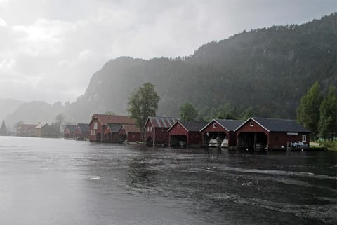 आज, अरुणाचल प्रदेश, असम और मेघालय, नागालैंड, मणिपुर, मिजोरम और त्रिपुरा के अलग-अलग इलाकों में बिजली कड़कने, तूफानी हवाओं के साथ बादलों के जमकर बरसने के आसार हैं