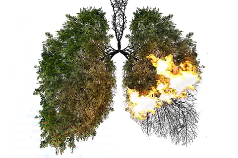 प्रतीकात्मक तस्वीर: आईस्टॉक
