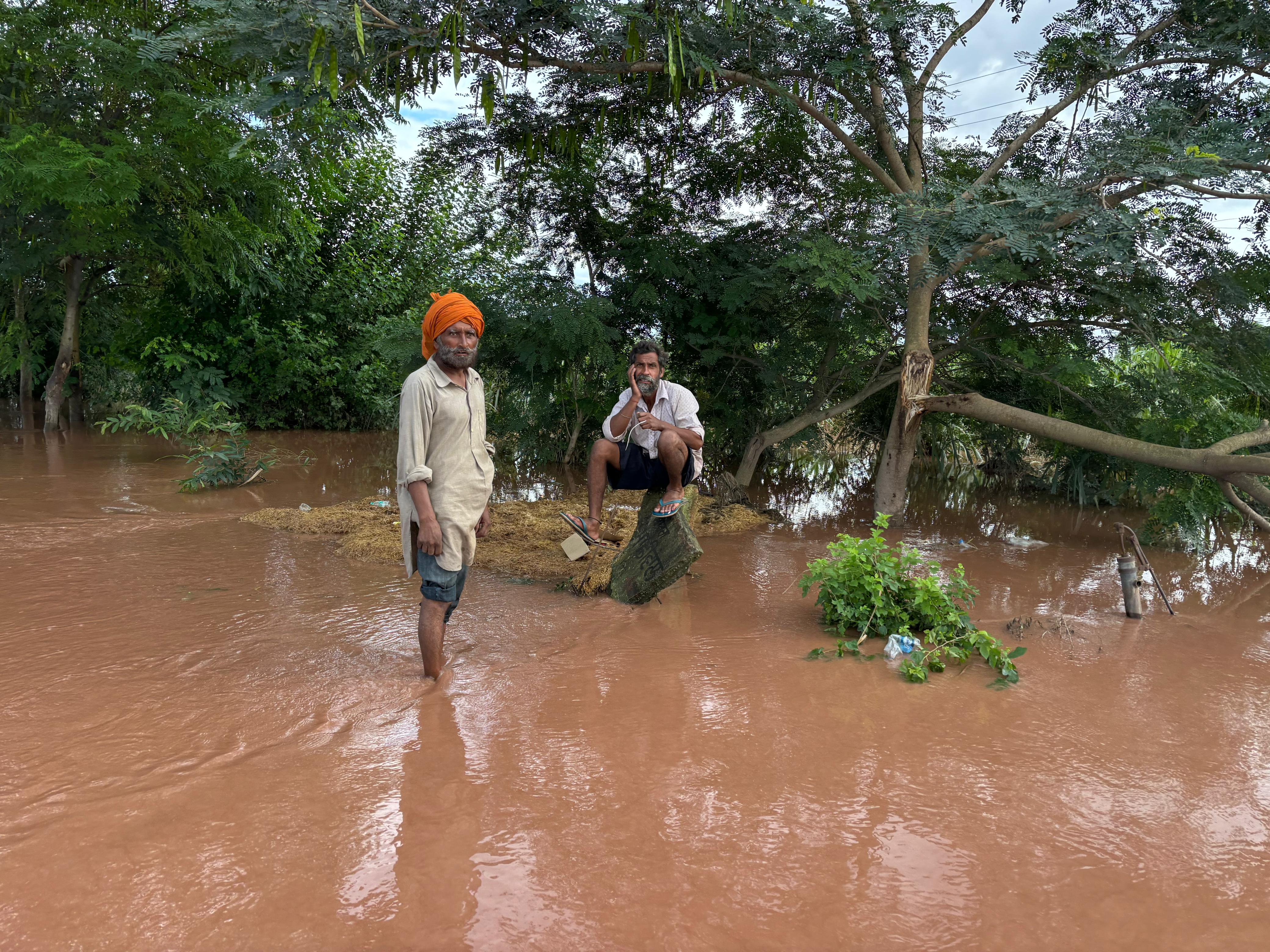 पंजाब में बाढ़ से अभी तक 1698 गांव प्रभावित हुए हैं। फोटो: मनदीप पूनिया