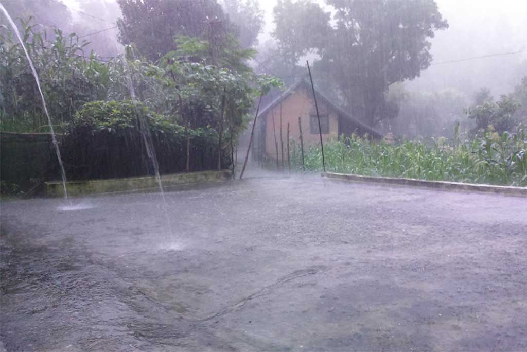 आज, हिमाचल प्रदेश के ऊना, हमीरपुर, बिलासपुर, सोलन और सिरमौर में बारिश के लिए यलो अलर्ट जारी है। 