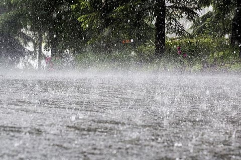 असम, मेघालय, उत्तराखंड, हिमाचल, नागालैंड, मणिपुर, मिजोरम, त्रिपुरा, रायलसीमा, तमिलनाडु और पुडुचेरी में 64.5 से 115.5 मिमी तक बादल बरस सकते हैं।   