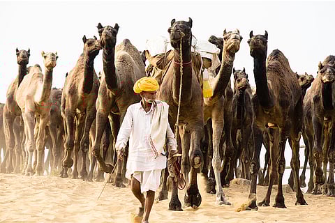 सितंबर 2025 ने एक बार फिर साबित कर दिया है कि धरती में बढ़ता तापमान अब गर्मी के एक नए युग में प्रवेश कर चुका है; प्रतीकात्मक तस्वीर: आईस्टॉक