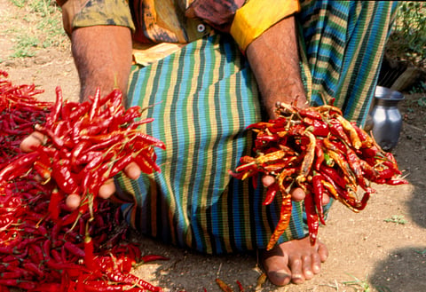 फाइल फोटो: अमित शंकर