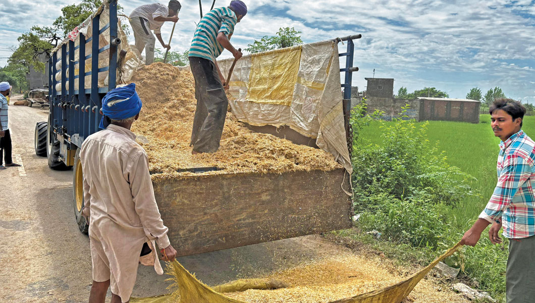 अमृतसर के सजादा गांव के लोग किसानों को बांटने के लिए एक ट्रक से पशुओं का चारा उतार रहे हैं। अगस्त में आई बाढ़ के कारण चारे की फसलें बह जाने के बाद किसानों ने दूसरे गांवों से मंगवाई