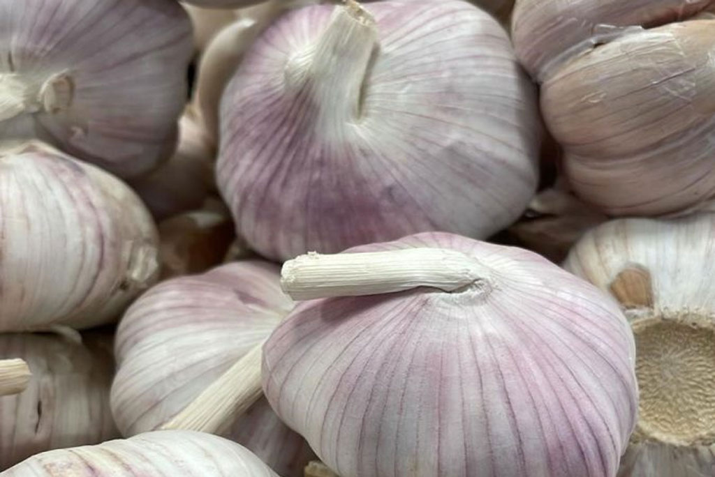 बड़े और मानकीकृत क्लिनिकल अध्ययन लहसुन माउथवॉश को सुरक्षित और प्रभावी विकल्प के रूप में स्थापित कर सकते हैं।